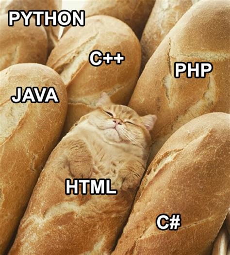 Funny Programming Memes .